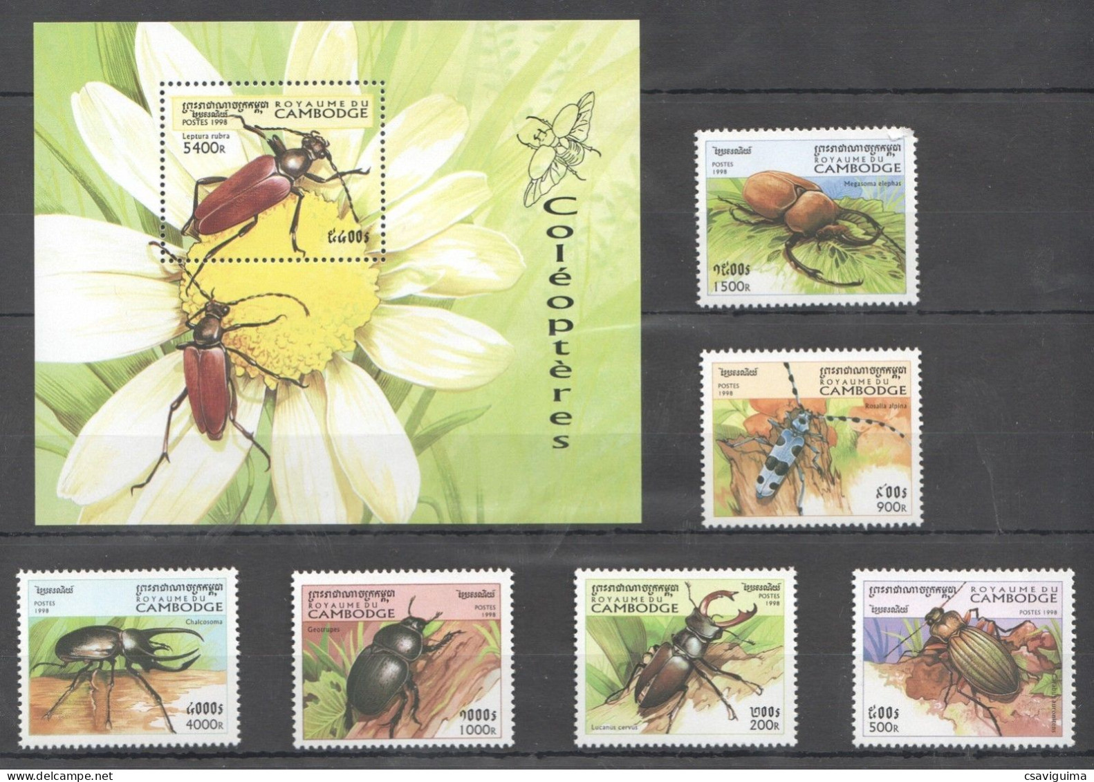 Cambodia (Cambodge) - 1998 - Insects: Coleopteres - Yv 1565/70 + Bf 144 - Other & Unclassified