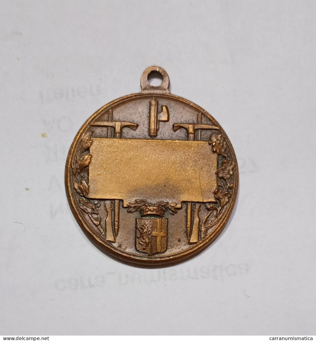 Medaglia Commissione Provinciale Venatoria Di AOSTA, Anni '30 (Bronzo / 26mm / Non Incisa) - Italie