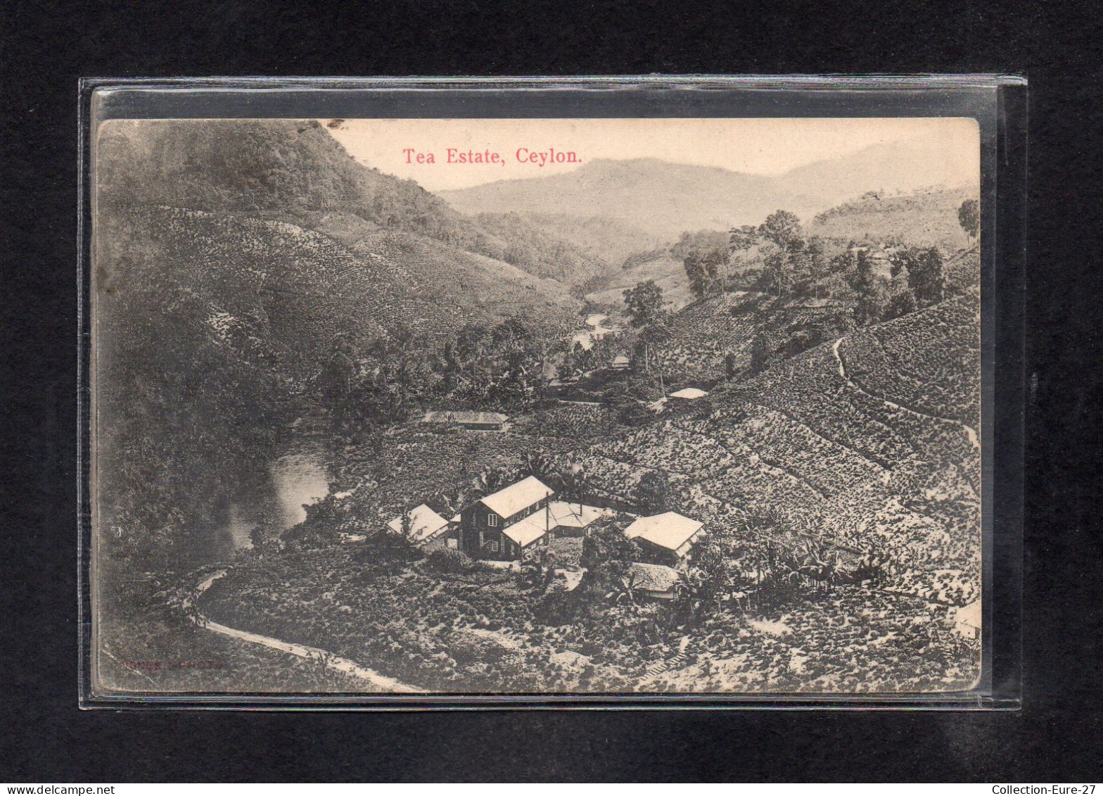 (23/04/24) SRI LANKA-CPA CEYLON - TEA ESTATE - Sri Lanka (Ceylon)