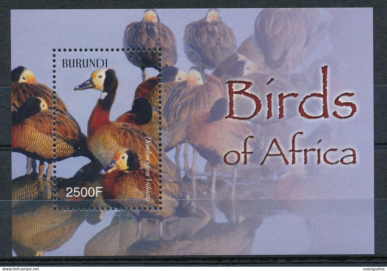 Burundi - 2004 - Birds: Ducks - Yv Bf 136 - Anatre