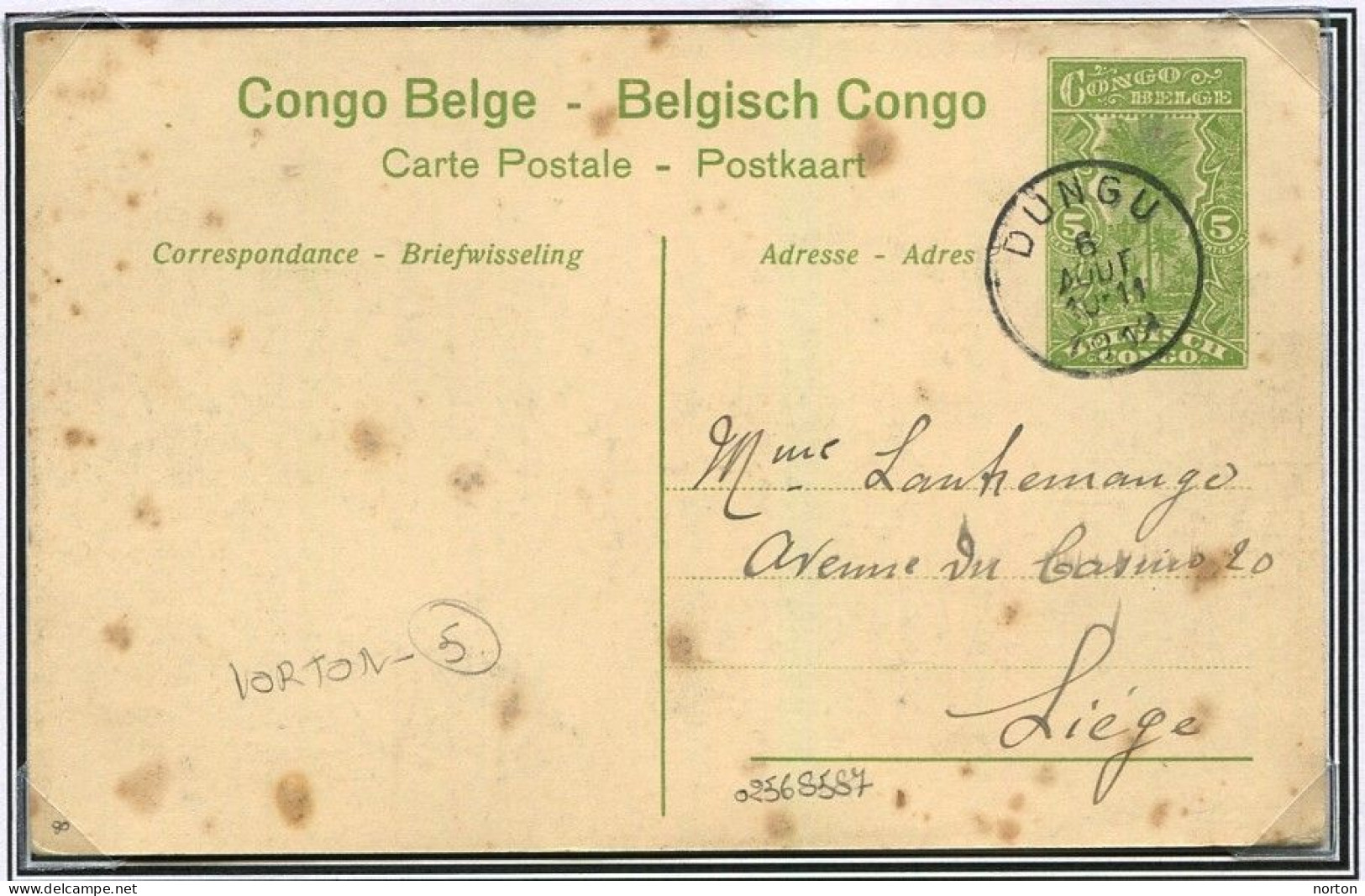 Congo Dungu Oblit. Keach 1.1DMtY Sur Entier Postal Vers Liège Le 06/08/1913 - Lettres & Documents