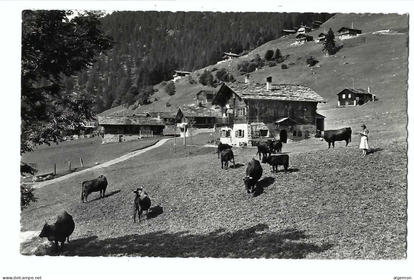 32395 - Scène D'automne à Pathiers-Verbier - Verbier