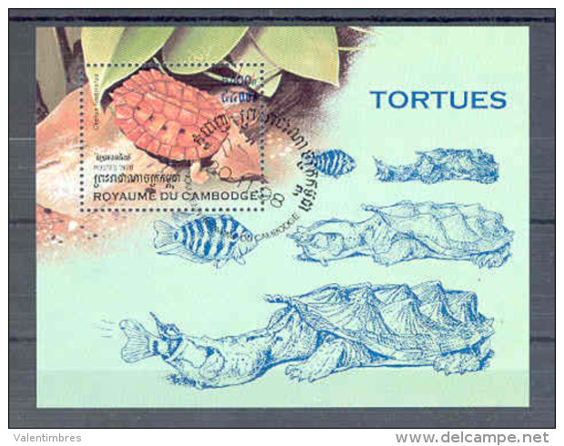 Tortue Tortoise Tortuga Schildkröte Turtle Tartarugas BF ° 55  CAMBODGE - Schildkröten