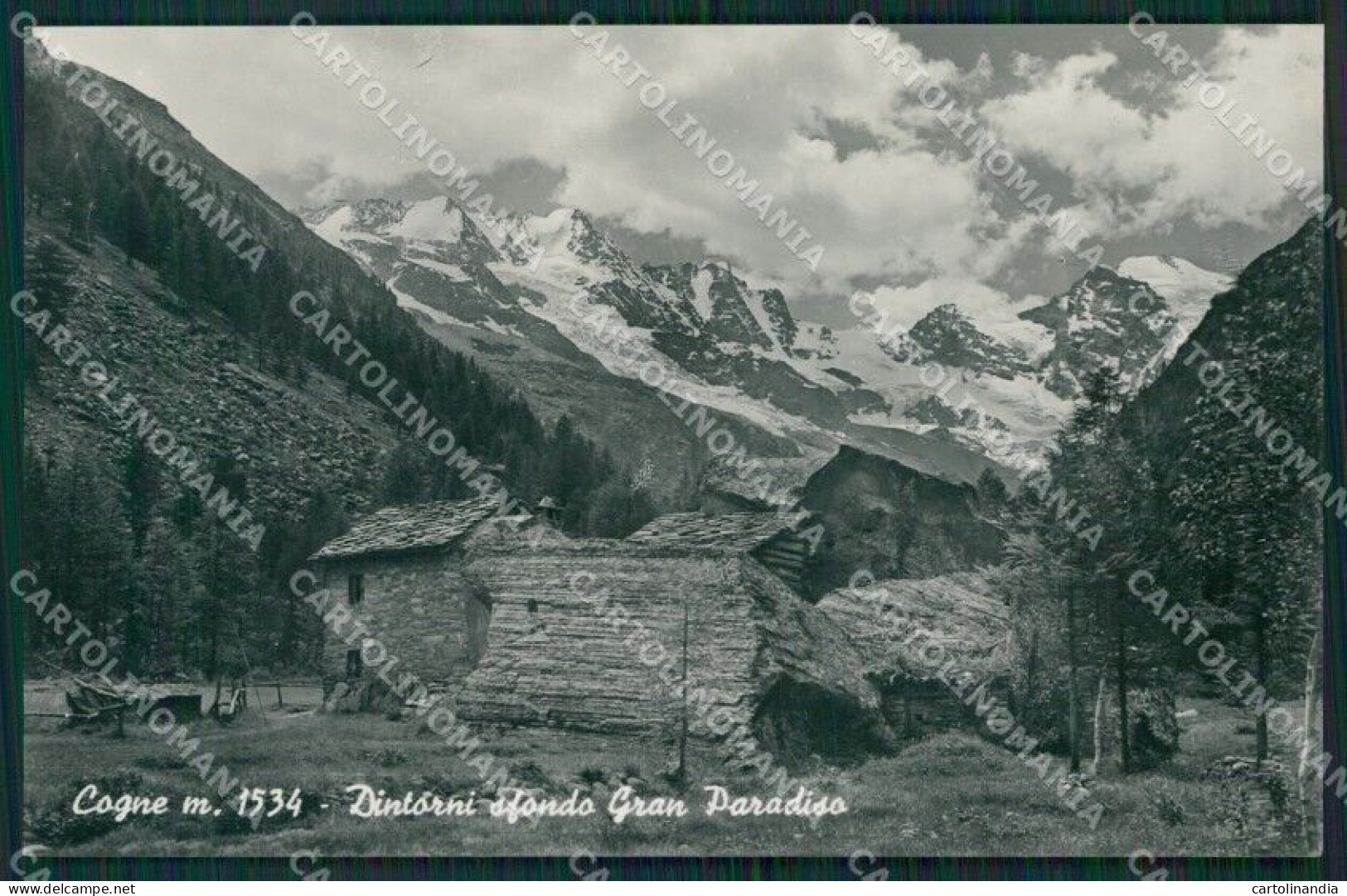 Aosta Cogne Foto Cartolina KV2200 - Aosta