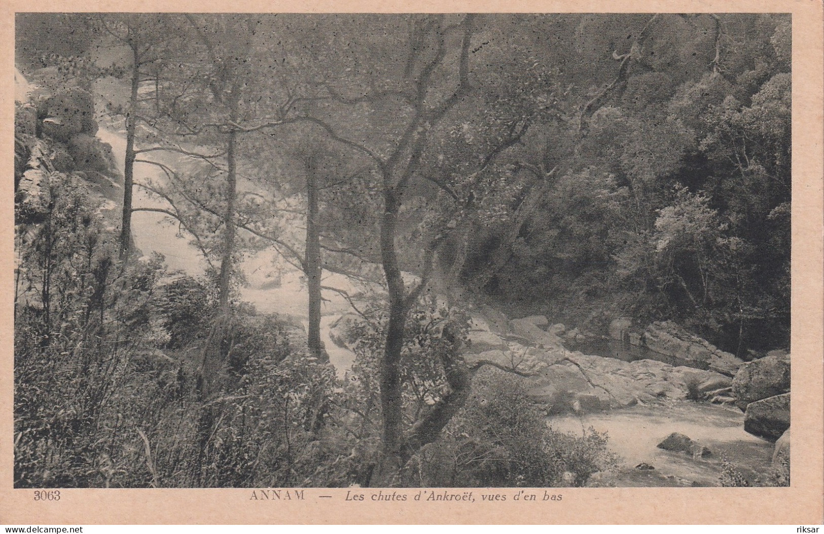 INDOCHINE(CHUTES D ANKROET) ARBRE - Vietnam