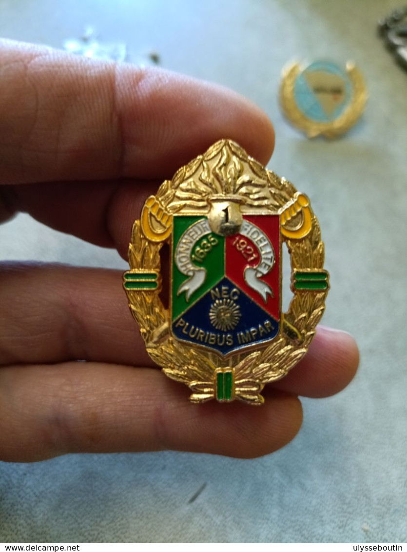 INSIGNE 1° REGIMENT ETRANGER DE CAVALERIE - 1° REC LEGION ETRANGERE - Hueste