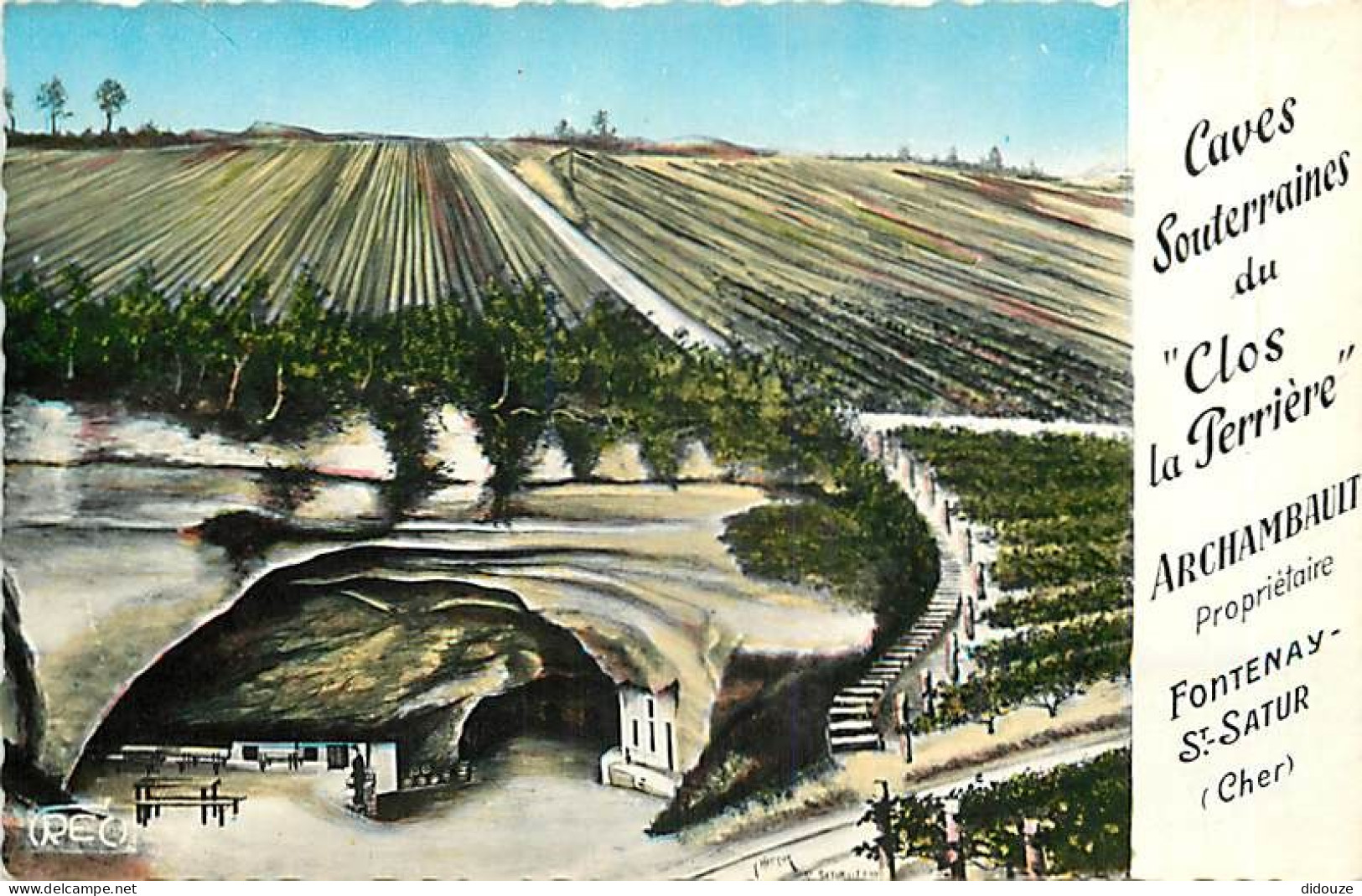 Vignes - Fontenay Saint Satur - Caves Souterraines Du Clos La Perrière - Mention Photographie Véritable - Carte Dentelée - Vines