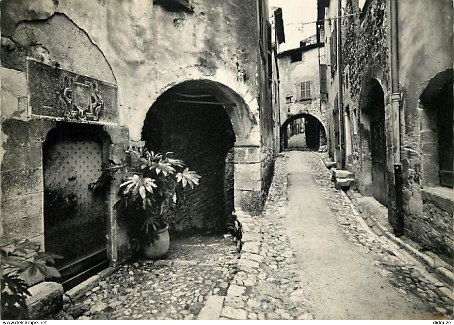 06 - Saint Paul De Vence - Vieille Rue - Mention Photographie Véritable - Carte Dentelée - CPSM Grand Format - Voir Scan - Saint-Paul