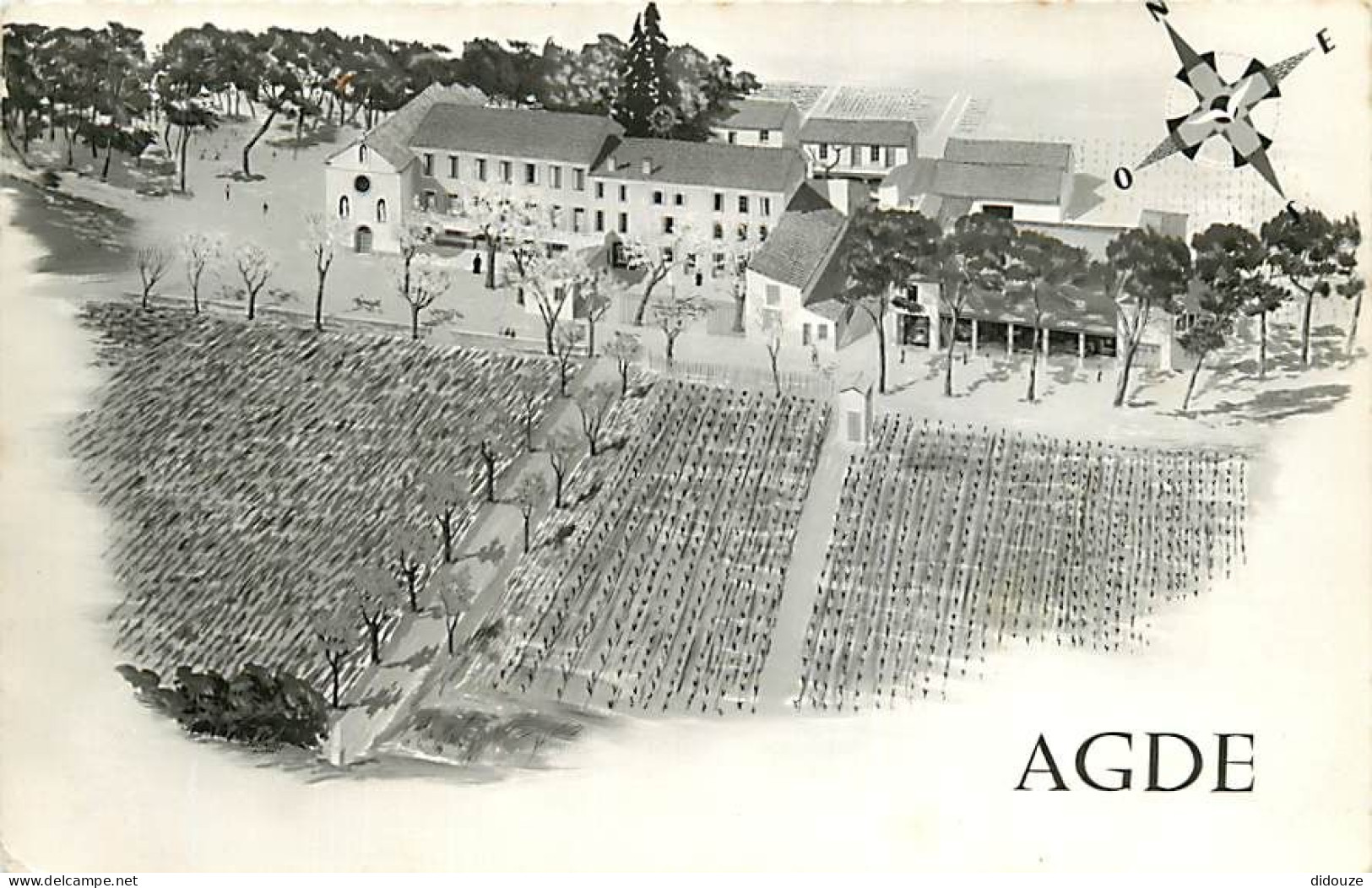 34 - Agde - Centre Educatif Du Sacré-Cœur - Les Œuvres P Colombé - Mention Photographie Véritable - CPSM Grand Format -  - Agde