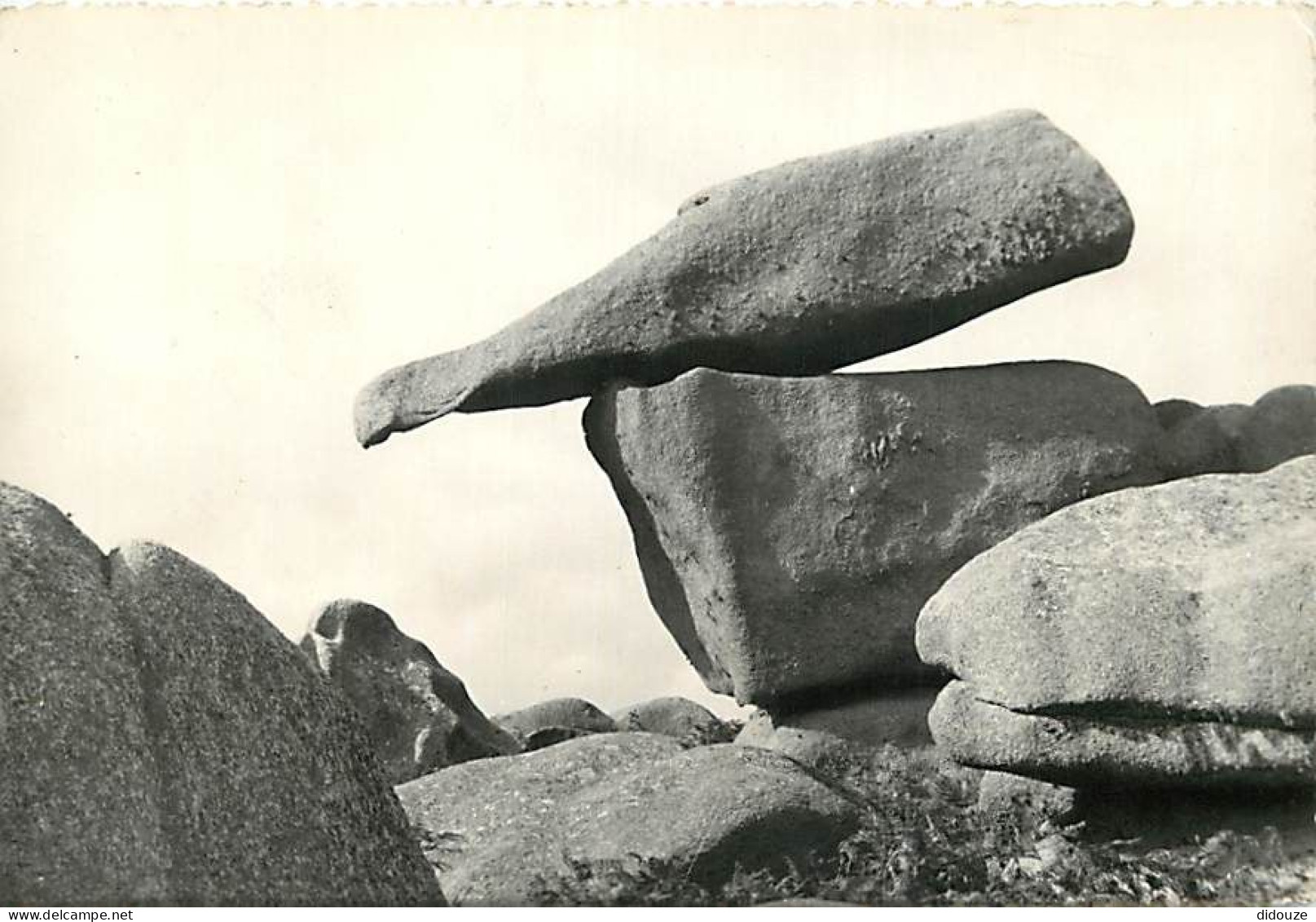 22 - Ploumanach - Parmi Les Rochers Bizarres La Bouteille - Mention Photographie Véritable - CPSM Grand Format - Voir Sc - Ploumanac'h