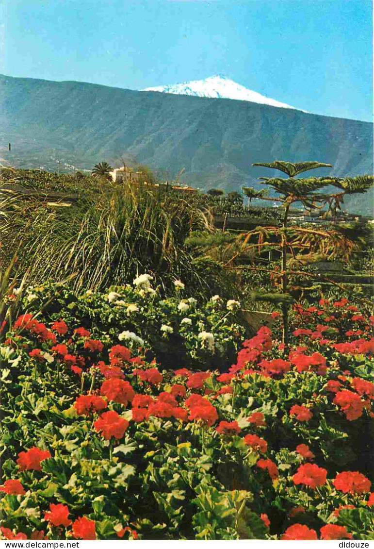 Espagne - Espana - Islas Canarias - Tenerife - Flores Con Teide Al Fondo - Fleurs - CPM - Voir Scans Recto-Verso - Tenerife