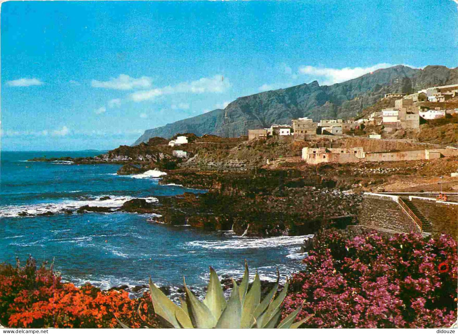 Espagne - Espana - Islas Canarias - Tenerife - Puerto De Santiago - Vista Parcial - Vue Partielle - CPM - Voir Scans Rec - Tenerife