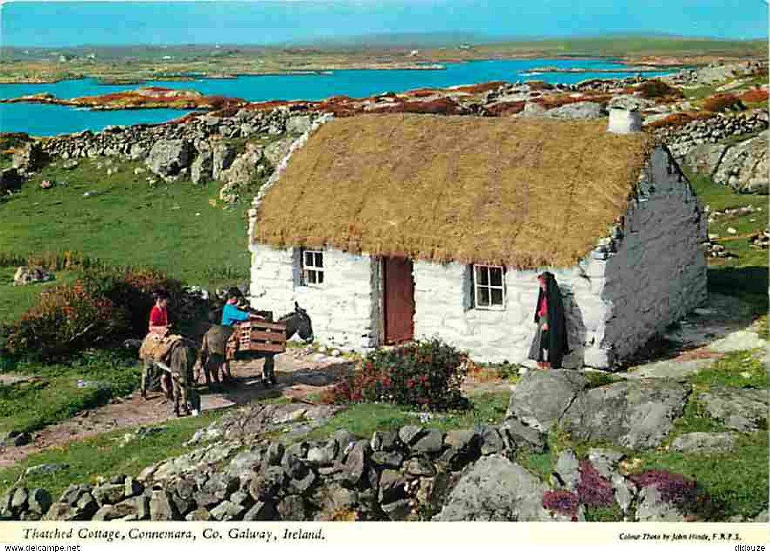 Irlande - Galway - Thatched Cottage , Connemara - Anes - Ireland - CPM - Voir Scans Recto-Verso - Galway