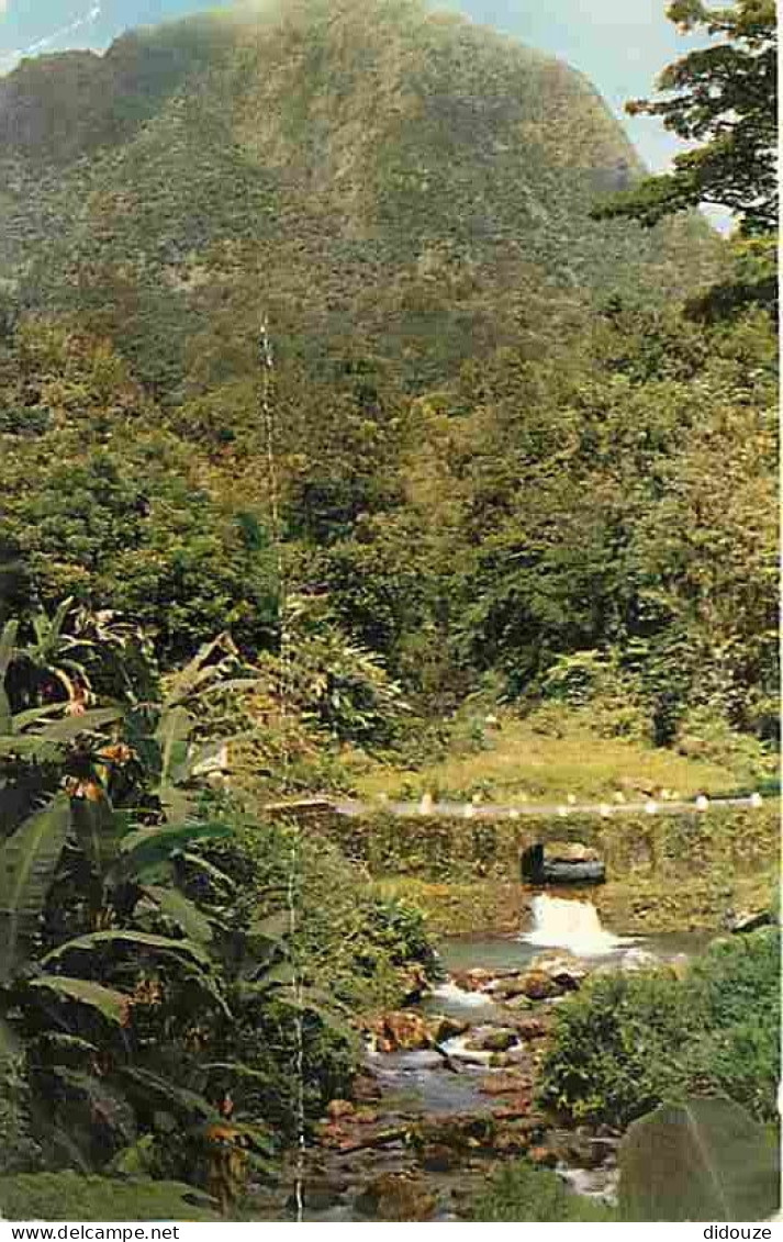 Martinique - Le Carbet - Paysage De Montagne - La Rivière Blanche à L'Alma Dans Les Pitons Du Carbet - Etat Pli Visible  - Autres & Non Classés