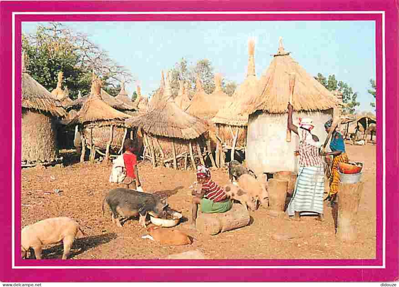 Mali - La Vie Au Village - Cases Indigènes Aux Environs Cfe Conakry - Cochons - CPM - Voir Scans Recto-Verso - Malí