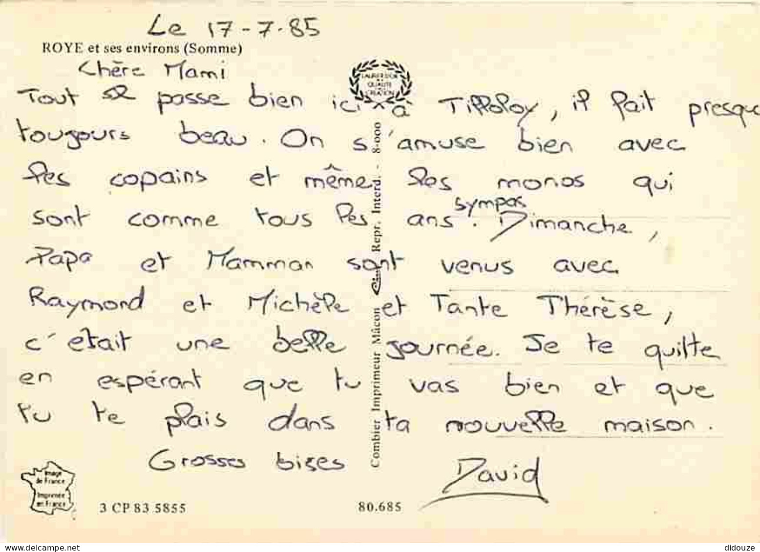 80 - Roye - Et Ses Environs - Multivues - Blasons - CPM - Voir Scans Recto-Verso - Roye