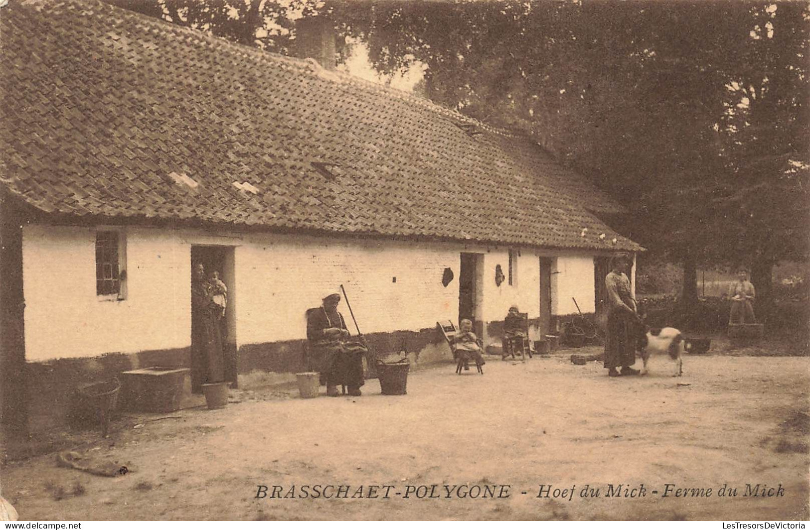 BELGIQUE - Brasschaet Polygone - Hoef Du Mick - Vue Sur La Ferme Du Mick - Animé - Carte Postale Ancienne - Brasschaat