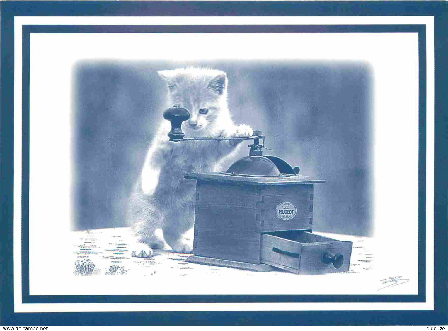 Animaux - Chats - Indigo - CPM - Voir Scans Recto-Verso - Cats