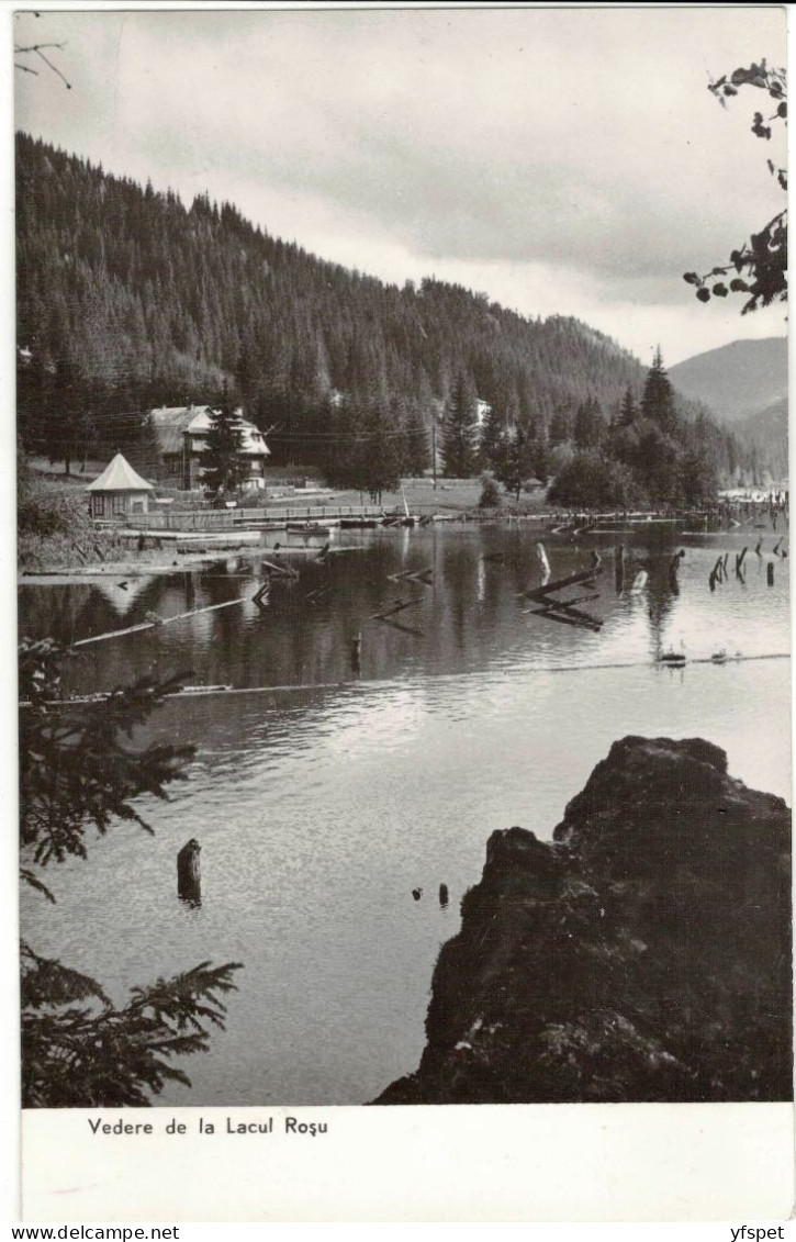 View Of Lacul Roșu - Rumania