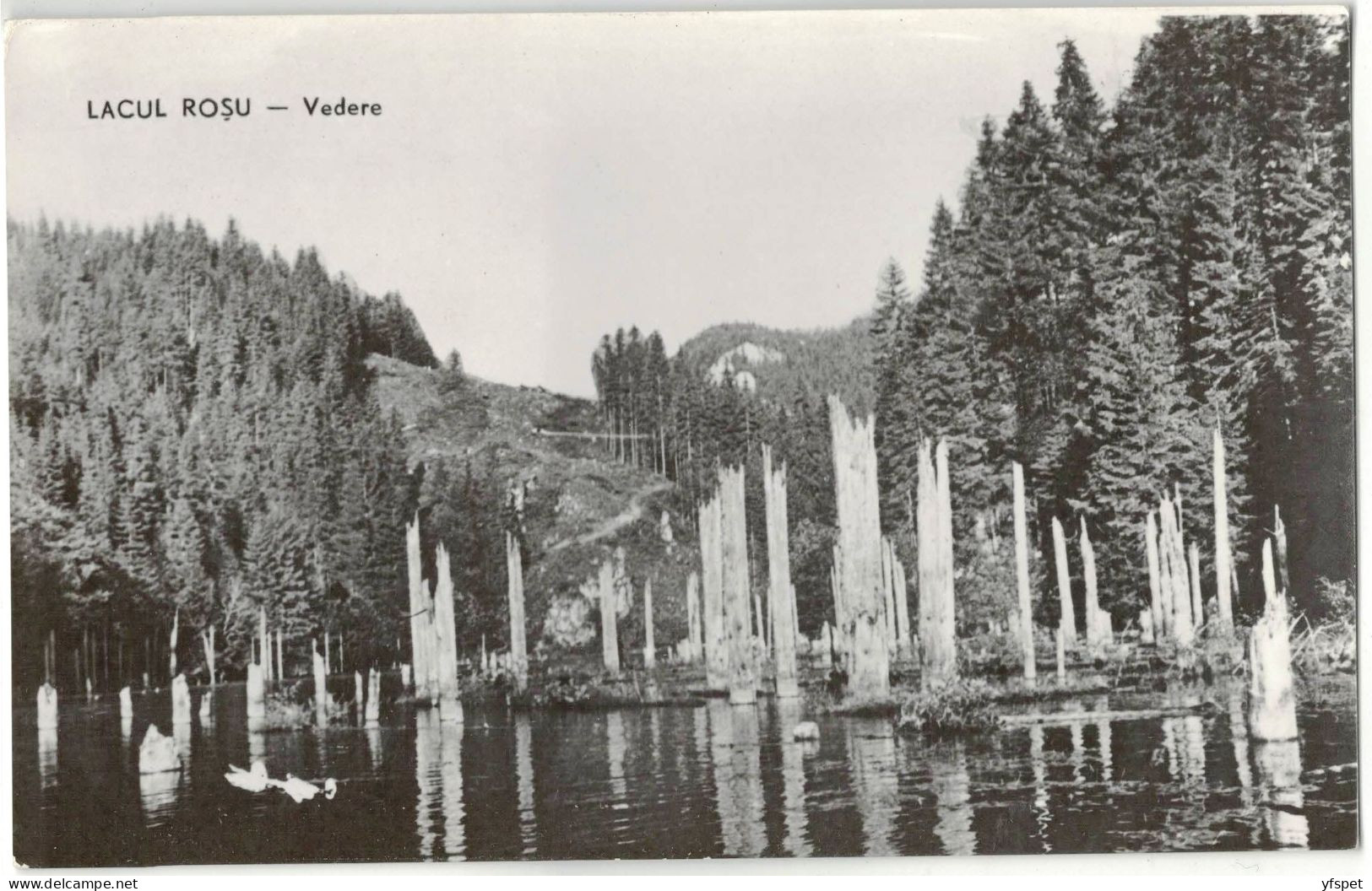 Lacul Roșu - View - Rumänien