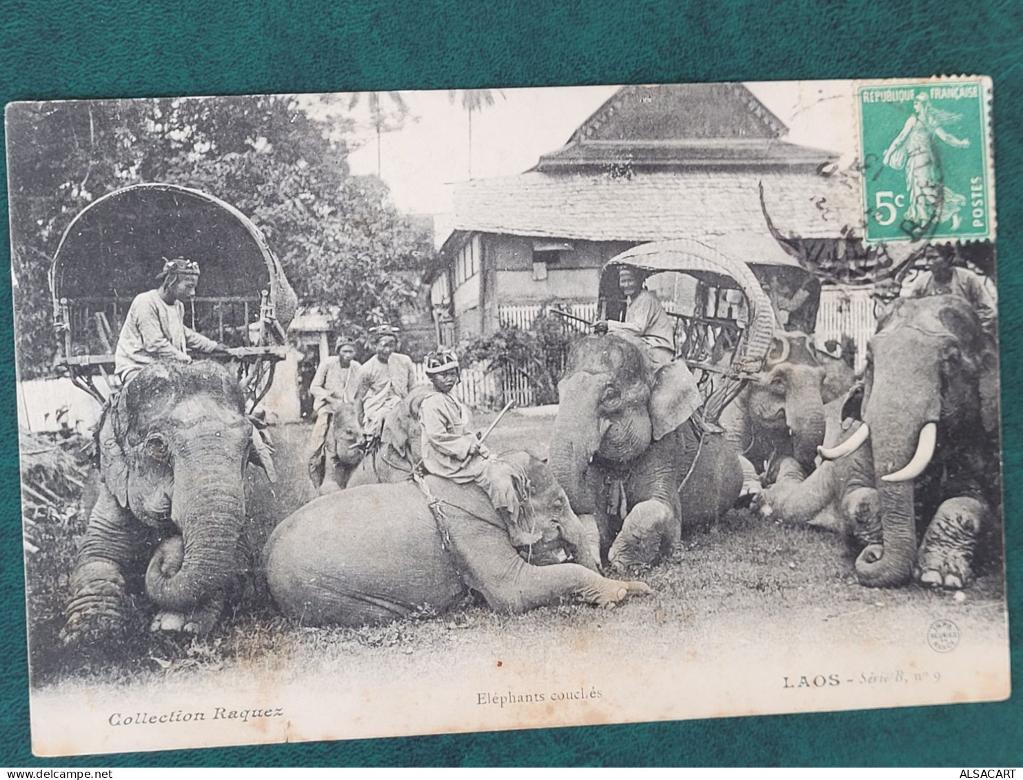 Laos , éléphants Couchés - Laos