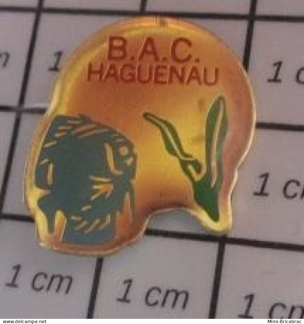 810H Pin's Pins / Beau Et Rare : ANIMAUX / POISSON EXOTIQUE B.A.C. HAGUENAU C'est Pas Des Poulets ? - Animals