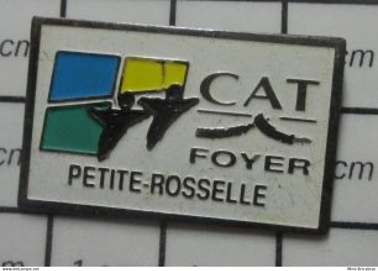 2622 Pin's Pins / Beau Et Rare : AUTRES /  CAT FOYER PETITE ROSSELLE CENTRE D'AIDE PAR LE TRAVAIL - Other & Unclassified