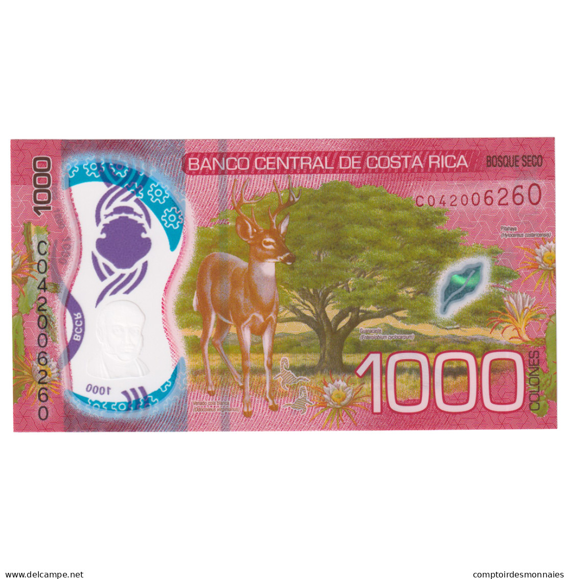 Billet, Costa Rica, 1000 Colones, 2019, 2019-09-20, KM:274, NEUF - Costa Rica