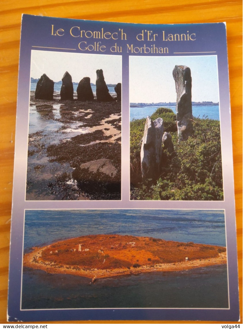 56 - Le Cromlech D'Erlannic  Comportant 49 Menhirs - Dolmen & Menhire
