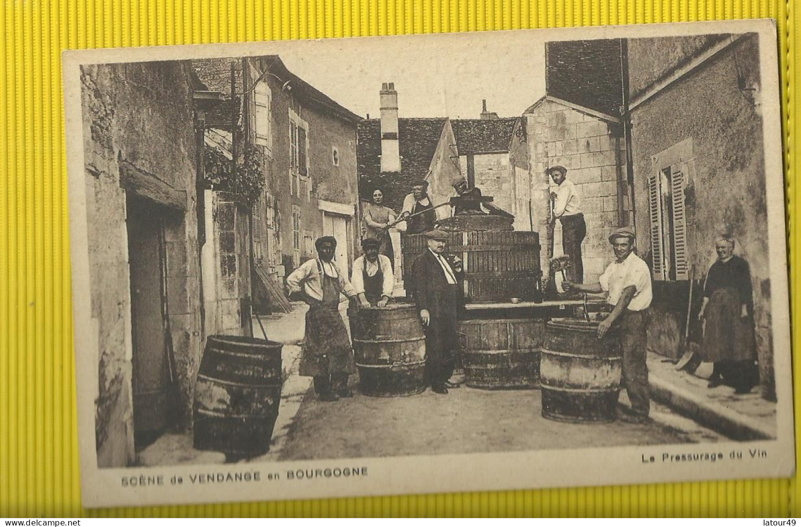 Scene De Vendanges En Bopurgogne  Le Pressurage Du Vin 1956 - Vignes