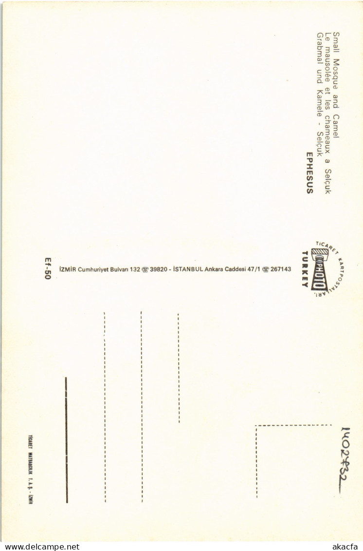 CPM AK Ephesus Small Mosque And Camel TURKEY (1402732) - Turchia