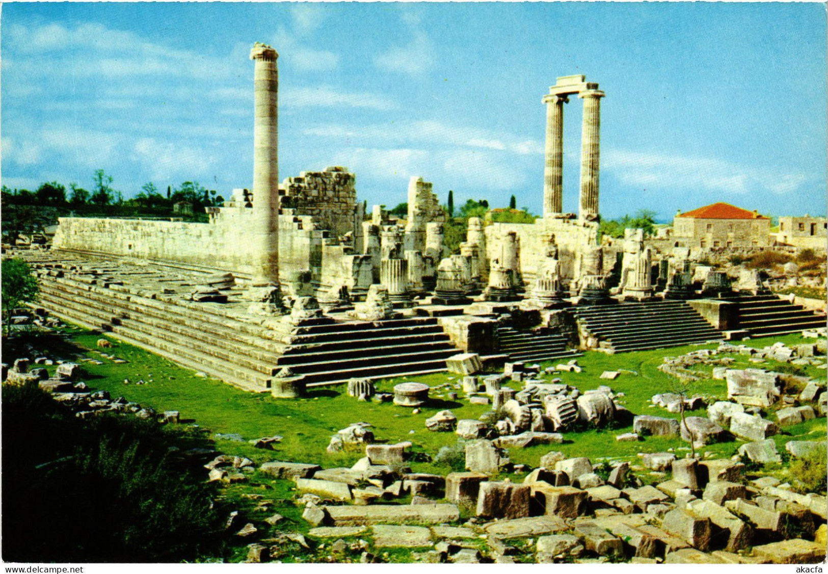 CPM AK Didim Temple Of Apollo TURKEY (1403156) - Turquia