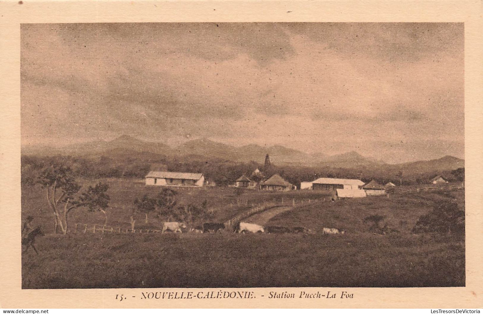 FRANCE - La Nouvelle Calédonie Pittoresque - Station Pucck - La Foa - Vue Générale - Carte Postale Ancienne - Nouvelle Calédonie