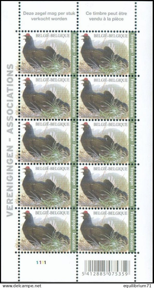 4305** PLANCHE I - Tétras Lyre / Korhoen - Assiciations / Verenigingen - BUZIN - BELGIQUE / BELGIË / BELGIEN - Unused Stamps