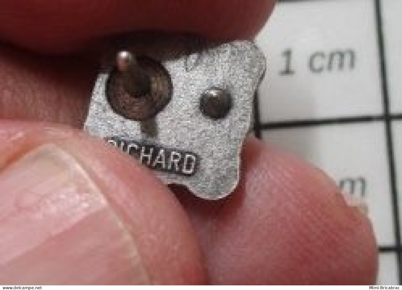 2922 Pin's Pins / Beau Et Rare : AUTRES / ???? EN RELIEF Par PICHARD Mini Pin's - Altri & Non Classificati
