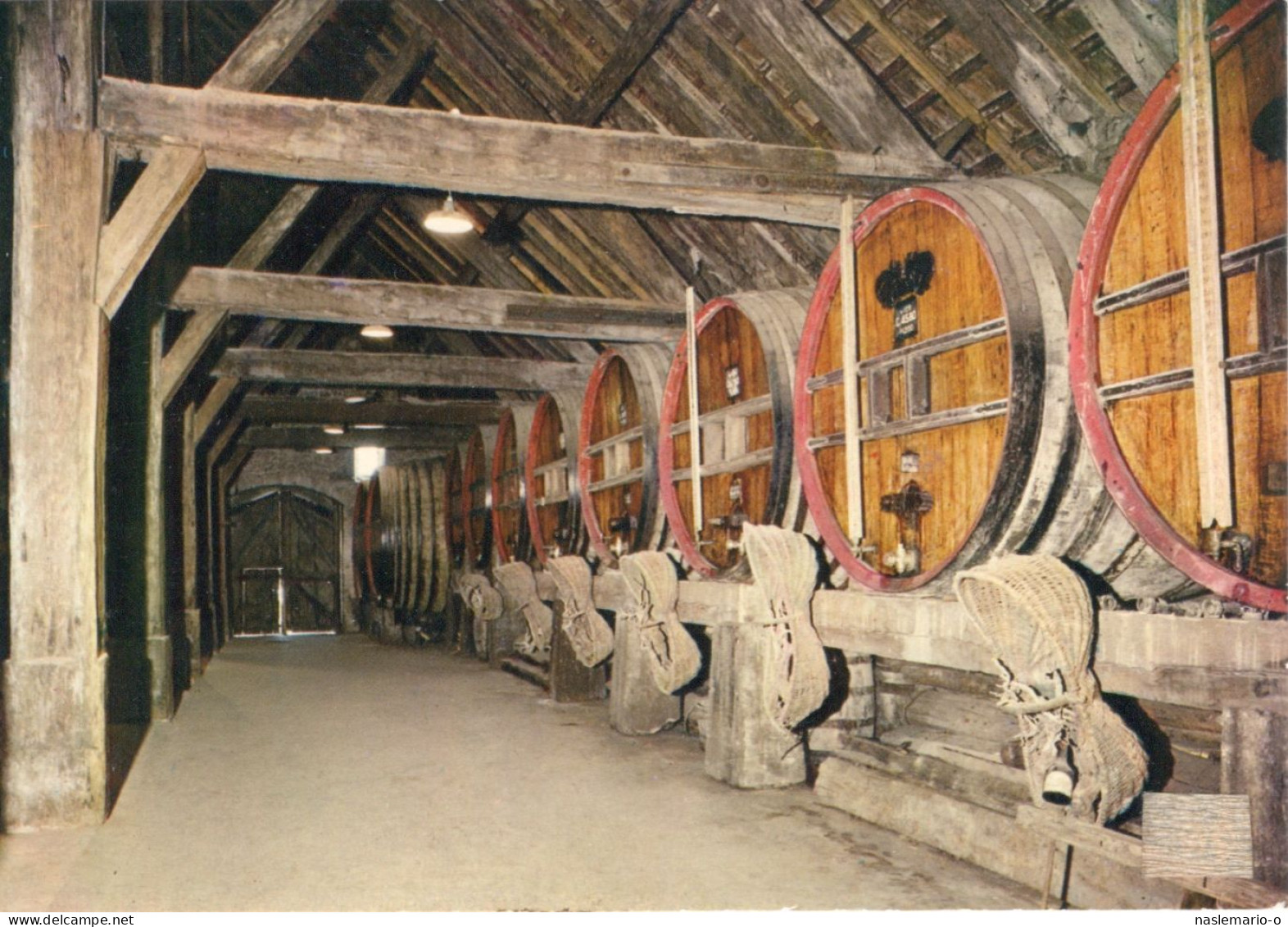 CPSM 21 CHENOVE Dans Cette Cave Se Trouve Le Pressoir Des Ducs De Bourgogne - Chenove