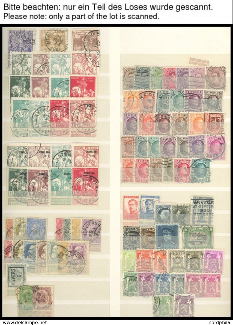 SAMMLUNGEN, LOTS *,**,o , Sammlung Belgien Im Einsteckbuch Bis 1967 Mit Vielen Guten Mittleren Ausgaben, Meist Prachterh - Collections