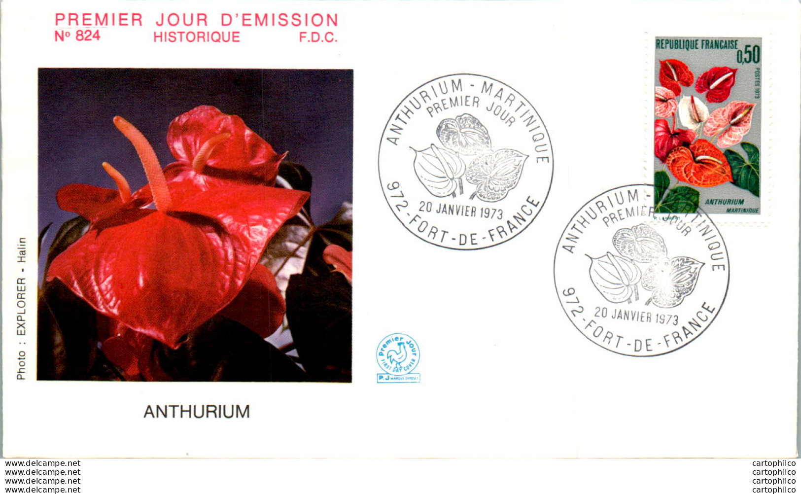 FDC France Anthurum Fort De France Martinique 19071 Fleur - 1970-1979