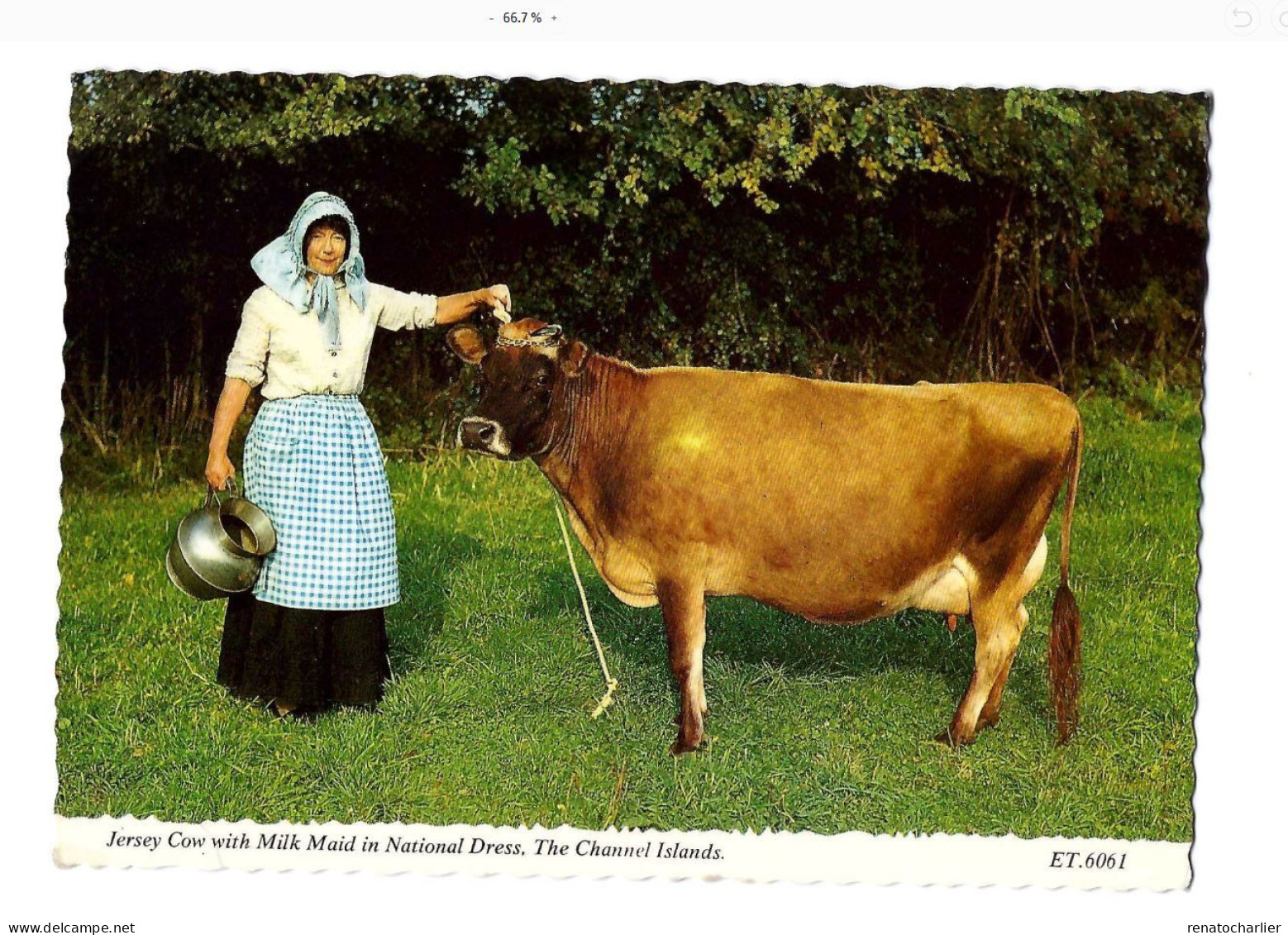 Vache De Jersey Et Laitière En Habit Traditionnel.Expédié à Avesnes-sur-Helpe (Nord). Pli De Coin. - Andere & Zonder Classificatie