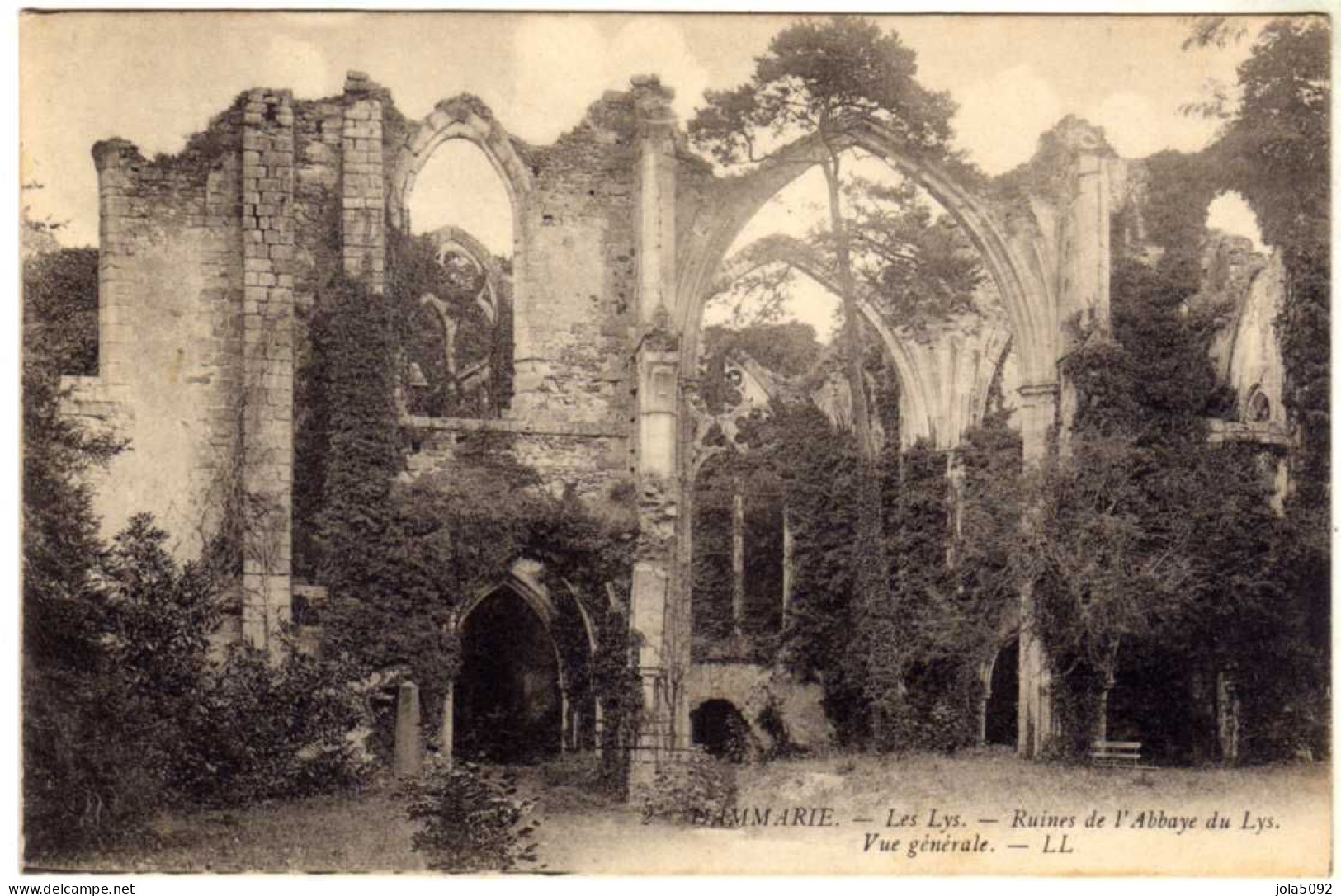 77 / DAMMARIE-LES-LYS - Ruines De L'Abbaye Du Lys - Vue Générale - Dammarie Les Lys