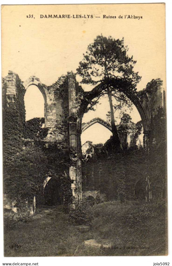 77 / DAMMARIE-LES-LYS - Ruines De L'Abbaye - Dammarie Les Lys