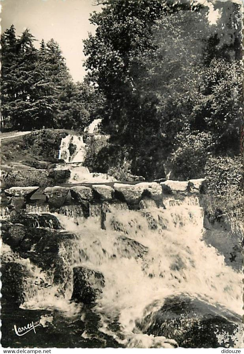 31 - Saint Ferreol - Bassin De Saint Ferreol - Les Cascades - Mention Photographie Véritable - Carte Dentelée - CPSM Gra - Saint Ferreol