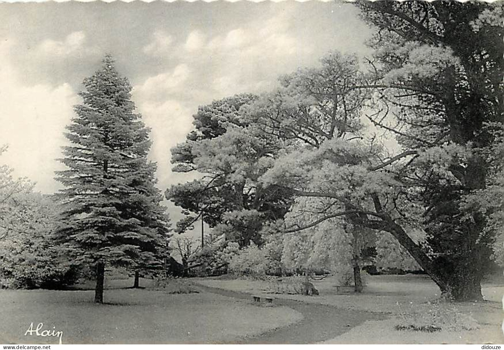 22 - Etables Sur Mer - Le Jardin Public - CPSM Grand Format - Voir Scans Recto-Verso - Etables-sur-Mer