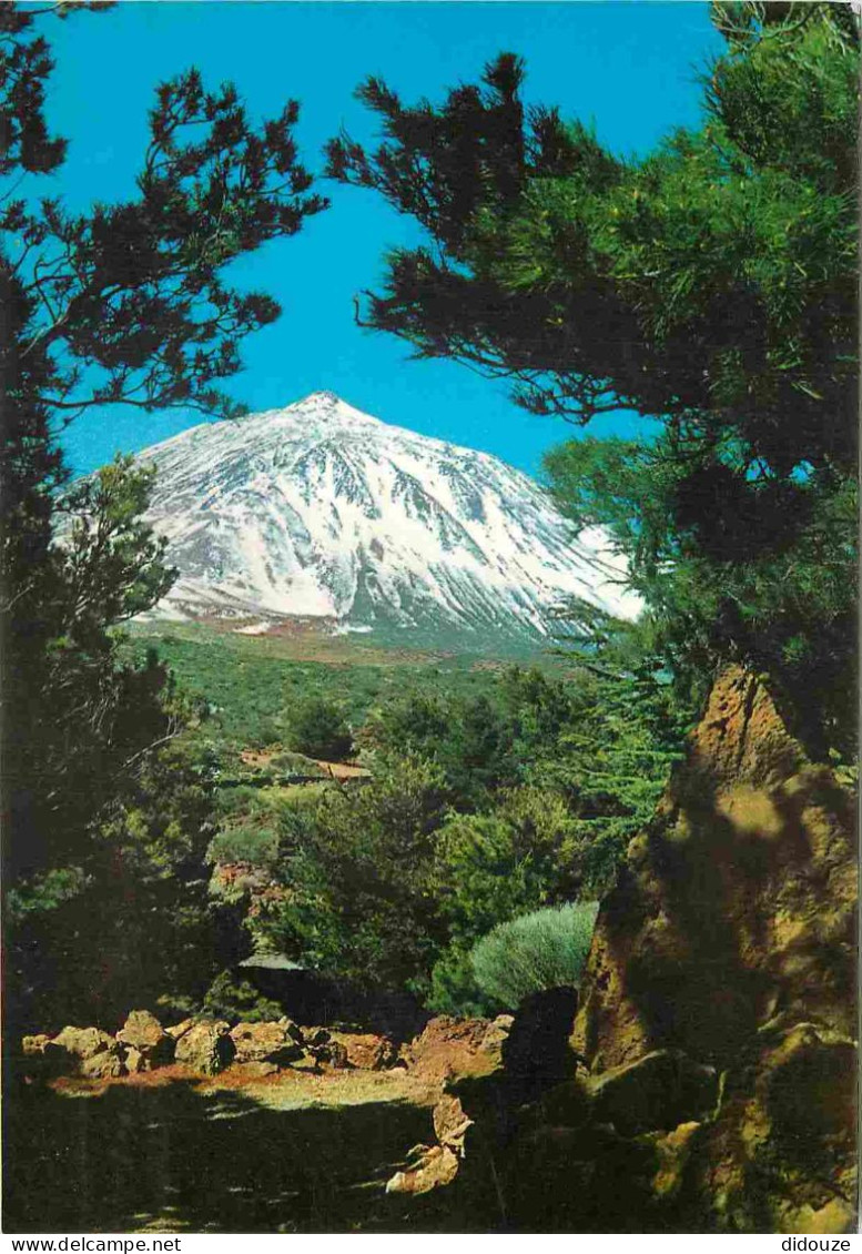 Espagne - Espana - Islas Canarias - Tenerife - El Teide - Volcan - CPM - Voir Scans Recto-Verso - Tenerife