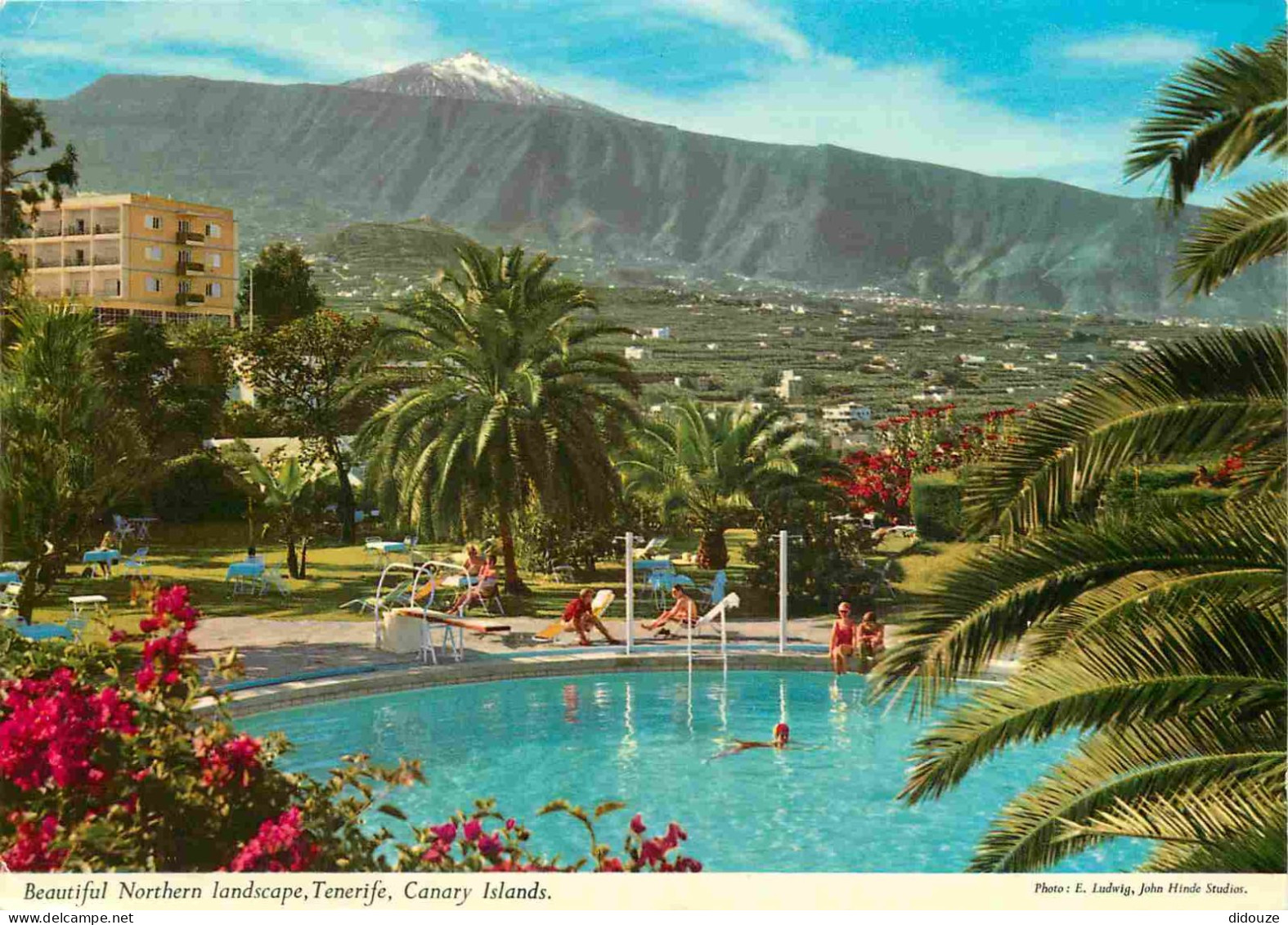 Espagne - Espana - Islas Canarias - Tenerife - Beautiful Northern Landscape - CPM - Voir Scans Recto-Verso - Tenerife