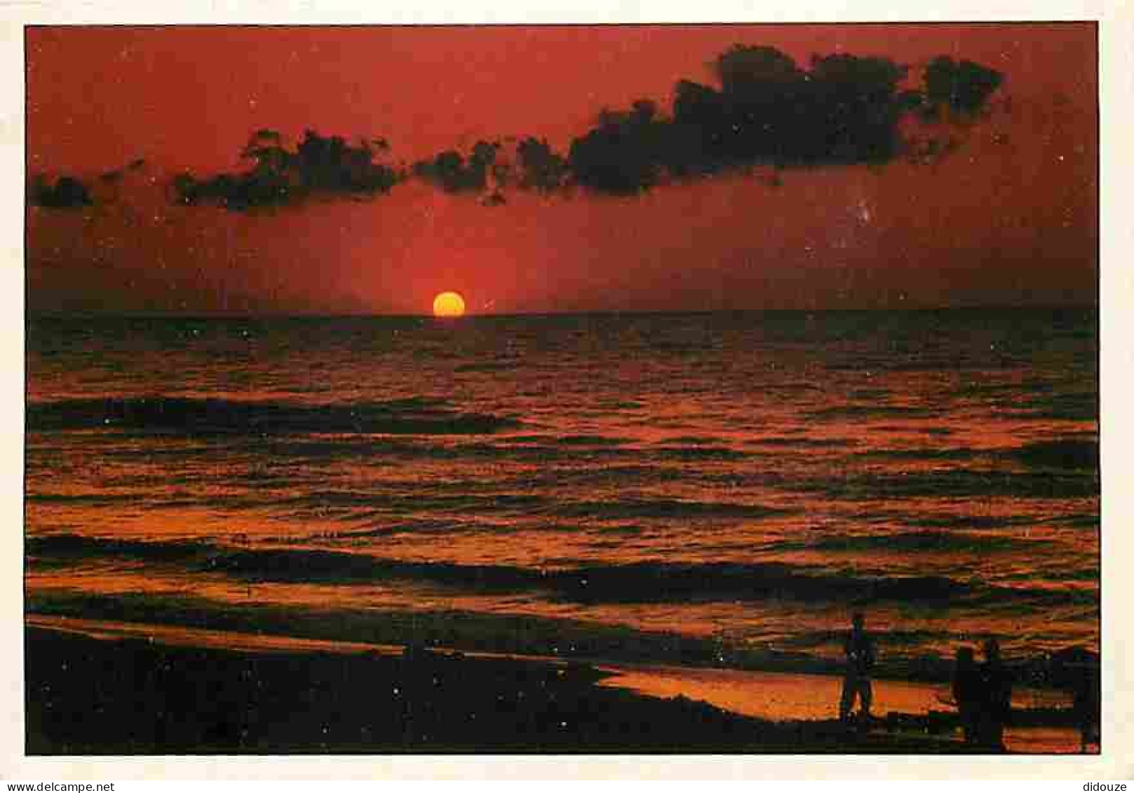 Pologne - Cocuher De Soleil - Voir Timbre De Pologne - CPM - Voir Scans Recto-Verso - Polen