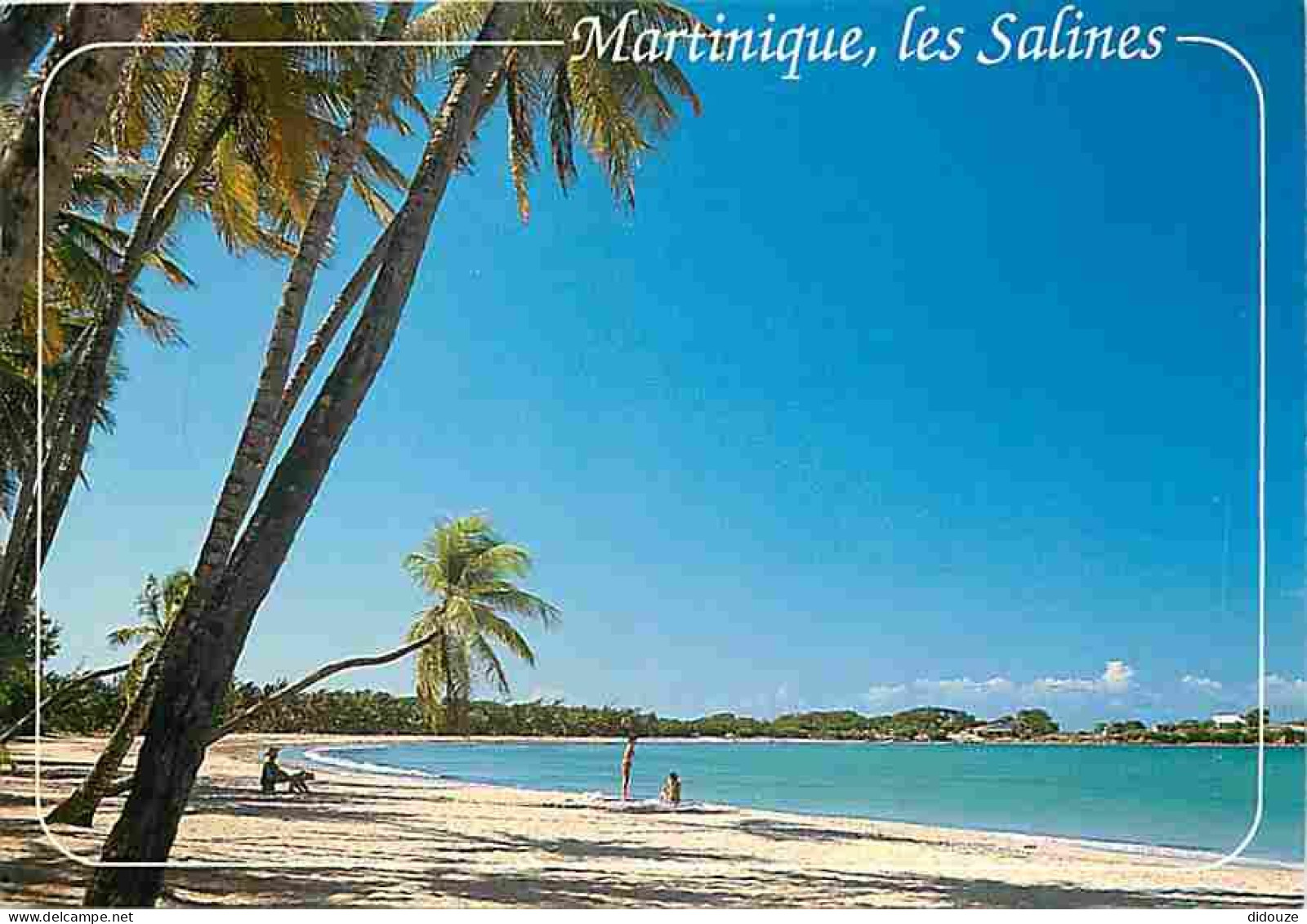 Martinique - Sainte Anne - Plage Des Salines - CPM - Voir Scans Recto-Verso - Autres & Non Classés