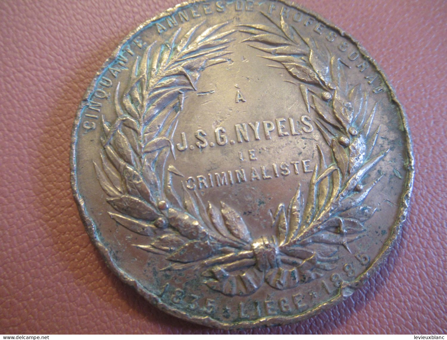 Médaille " à J.S.G. NYPELS Le Criminaliste " / Bronze / Criminaliste Belge / LIEGE  / Geerts/1885              MED594 - Andere & Zonder Classificatie