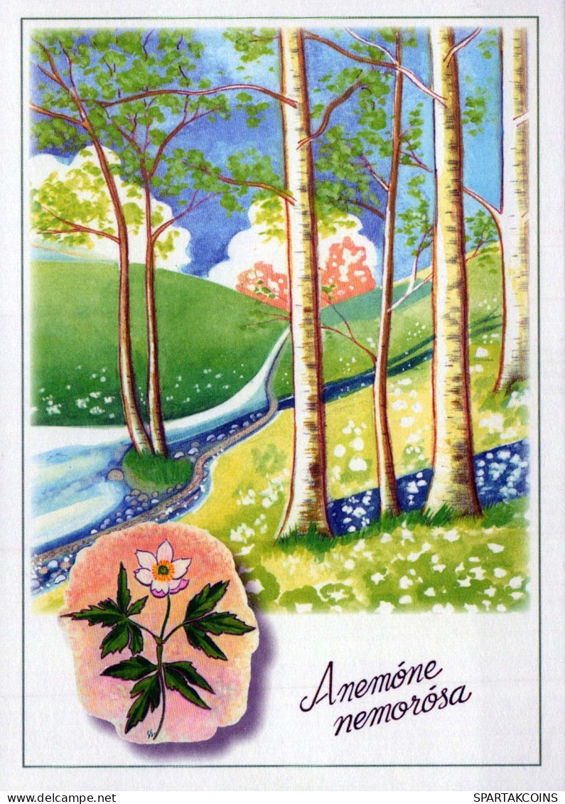 FLOWERS Vintage Postcard CPSM #PAR413.A - Flowers