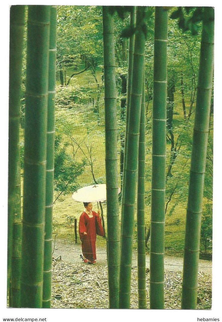 KYOTO - The Rain In The SAIHO-JI TEMPLE - JAPAN - - Kyoto